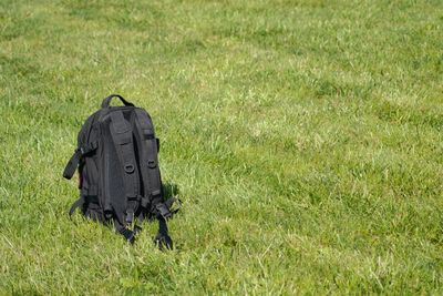 Rear view of men on field
