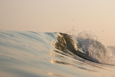 View of sea wave