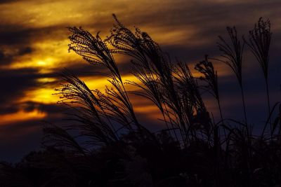 Scenic view of landscape against cloudy sky
