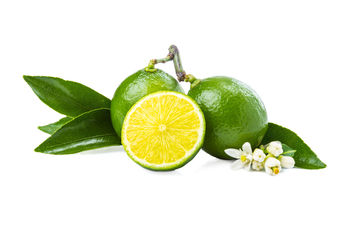 Close-up of fruits against white background