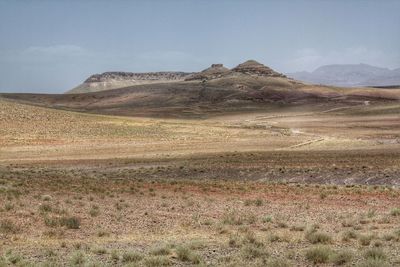 Scenic view of landscape