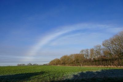 Scenic view of field against blue sky