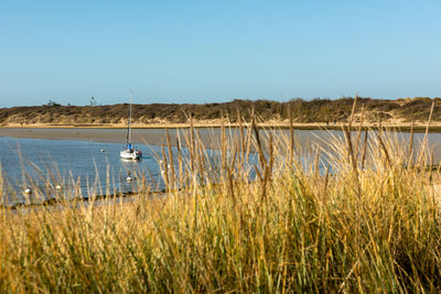 Scenic view of lake against clear sky