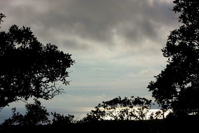 Low angle view of silhouette trees against sky at sunset