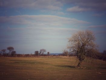 Scenic view of field against cloudy sky