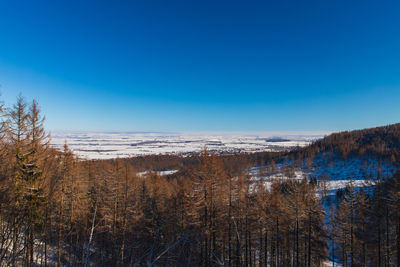 Scenic view of landscape against clear blue sky
