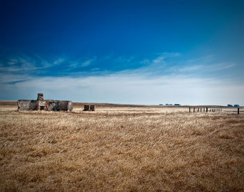 Scenic view of agricultural field against blue sky