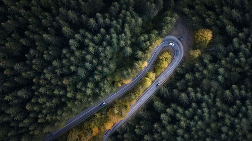 High angle view of road amidst trees in forest