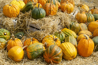 Pumpkins for sale at market stall