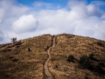 View of lizard on landscape against sky