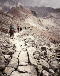 Rear view of woman walking on mountain road