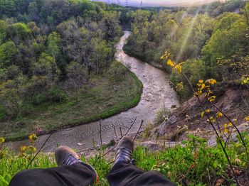 Low section of people relaxing on tree