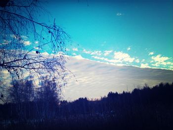 Bare trees on landscape against sky