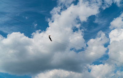 Low angle view of birds flying against blue sky