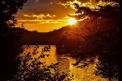 Silhouette trees by lake against sky during sunset