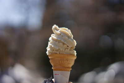 Close-up of ice cream