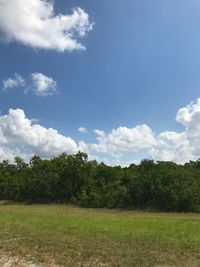 Trees on field against sky