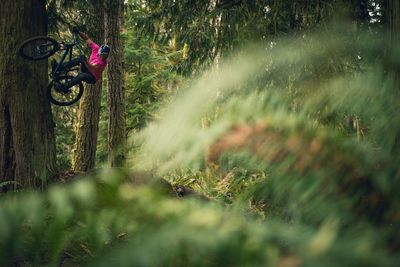 Person riding bike in forest