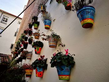 Low angle view of lanterns hanging on wall