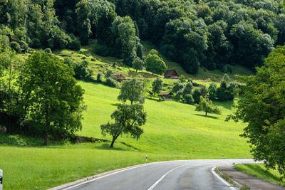 Country road amidst green landscape