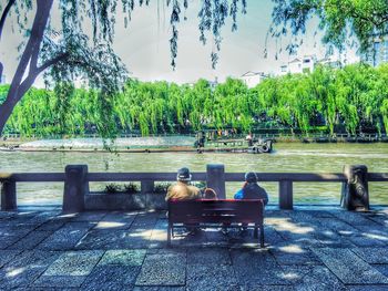 People sitting in swimming pool against trees