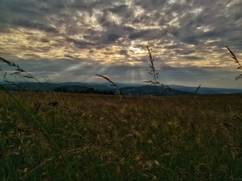 Scenic view of field against sky during sunset