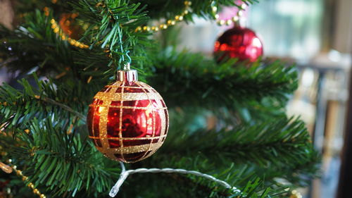 Close-up of christmas decorations hanging on tree