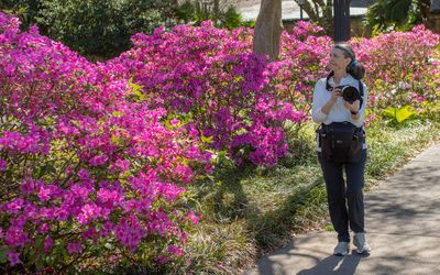 Full frame view of a woman taking pictures of beautiful pink flowers