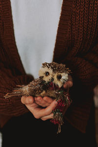 Midsection of woman holding owl