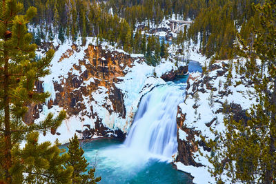 Low angle view of waterfall in forest