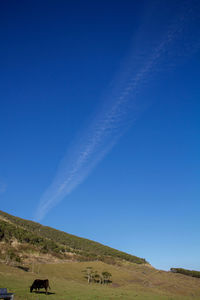 Scenic view of landscape against blue sky