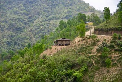 Built structure by trees in forest