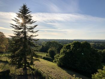 Landscape view of the normandy countryside. calvados.