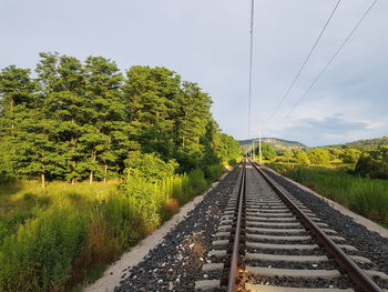 Railroad tracks amidst trees against sky