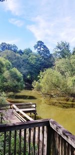 Scenic view of lake in forest against sky