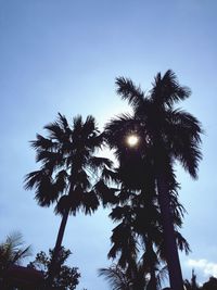 Low angle view of silhouette trees against sky