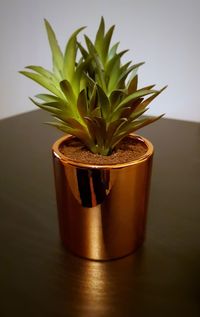 Close-up of potted plant on table