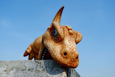 Close-up of a reptile against blue sky