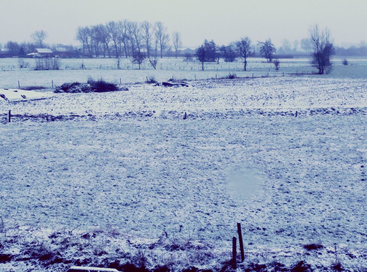 snow, winter, cold temperature, season, weather, frozen, covering, tranquil scene, tranquility, nature, white color, landscape, beauty in nature, scenics, field, snow covered, cold, covered, white, non-urban scene