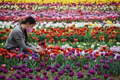 Low section of woman standing by multi colored tulips