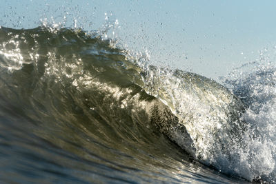 wave
