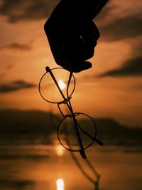 Close-up of silhouette plant against sky during sunset