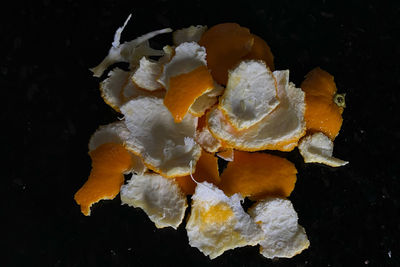 Close-up of orange flowers against black background