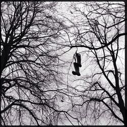 Low angle view of bare trees