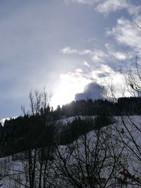 Low angle view of silhouette trees against sky