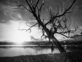 Bare tree by lake against sky