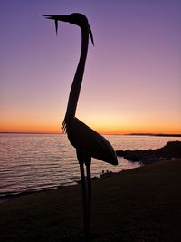 Bird on beach during sunset