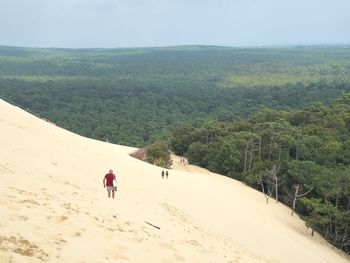 Scenic view of landscape against sky. sand dune and forrest 