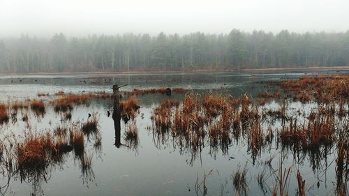 Reflection of trees in calm lake