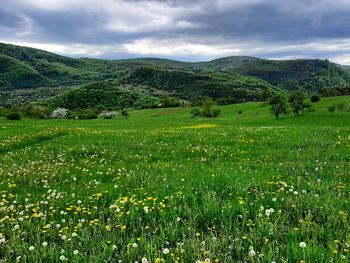 Scenic view of green landscape and mountains against sky